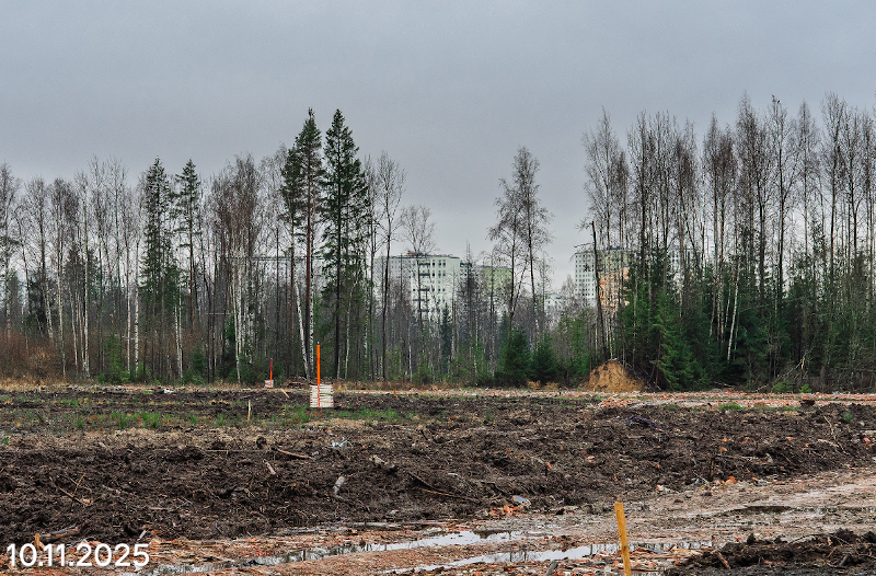 ЖК Ягодное Река Парк